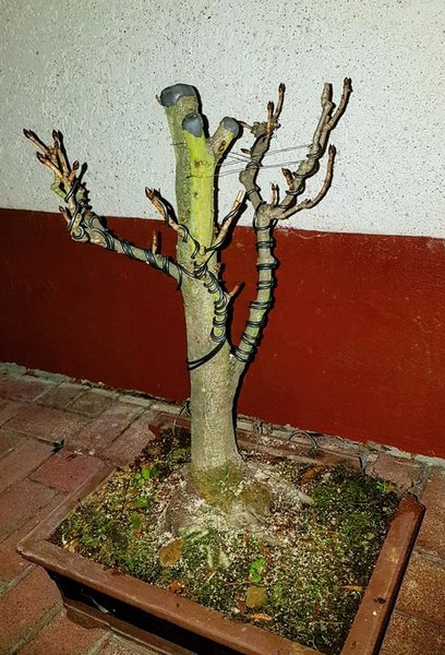 20170120_194043.JPG