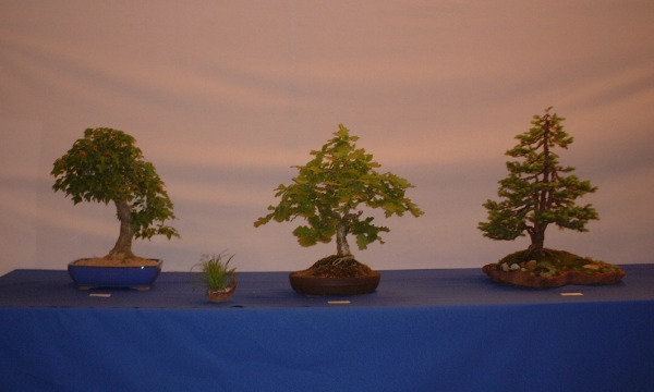 DSCF0861.JPG