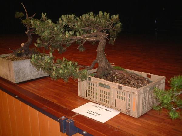 DSCF0885.JPG