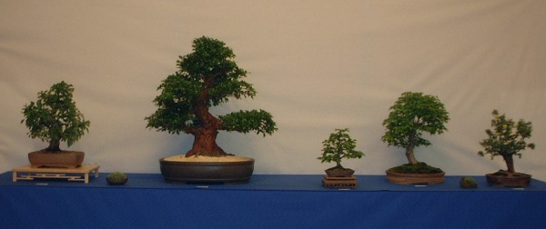 DSCF0863.JPG