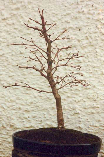 ap170391.jpg
