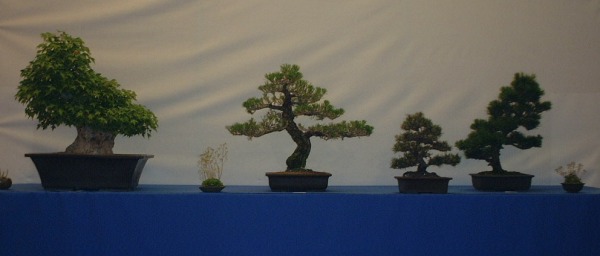 DSCF0868.JPG