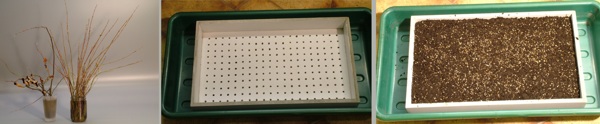 steck-1.jpg