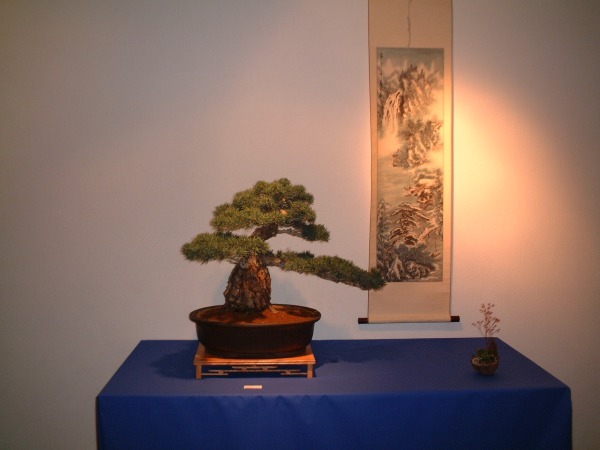DSCF0850.JPG