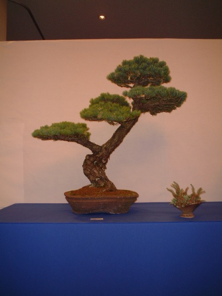 DSCF0867.JPG