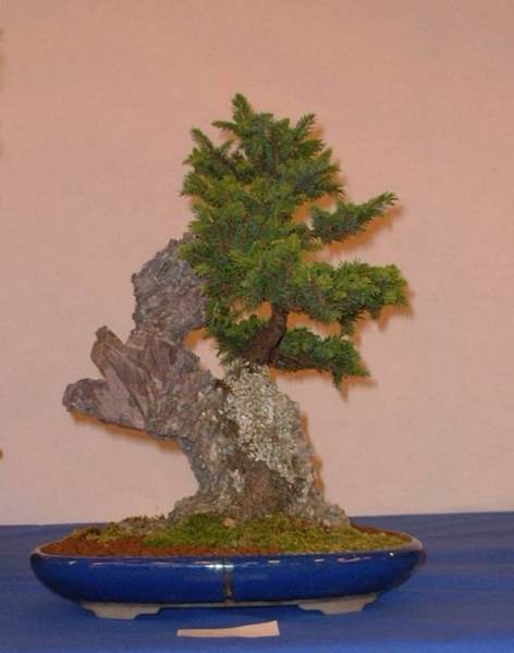 DSCF0880.JPG