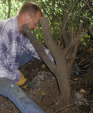 dscn9857v.jpg