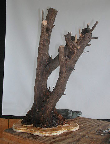 dscn9873v.jpg