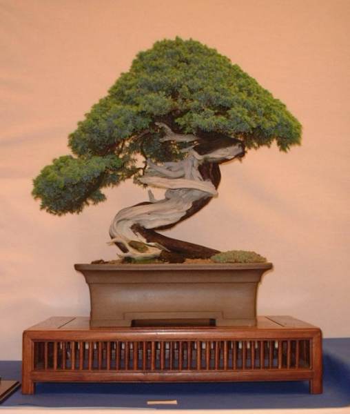 DSCF0876.JPG