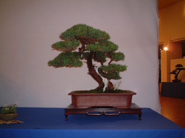 DSCF0852.JPG