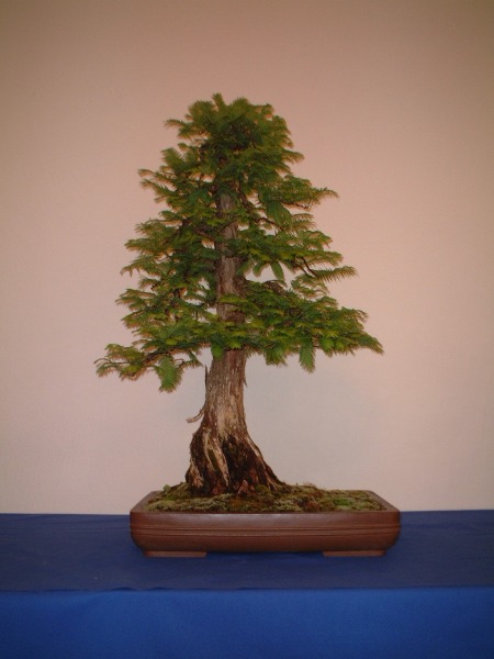 DSCF0858.JPG
