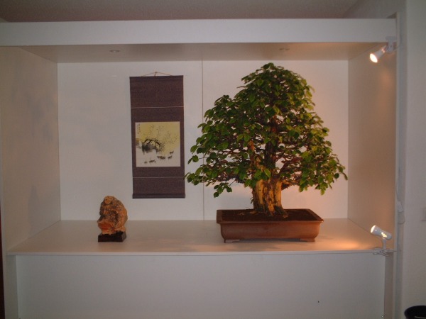 DSCF0849.JPG