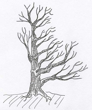 flossform-rohpflanzen05.jpg