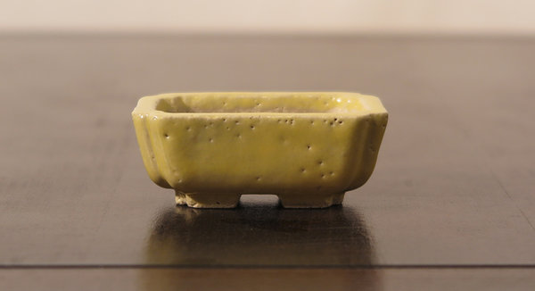 Noch eine Munzige  6.4 x 4.2 x 2.5 cm   Nr. 1625