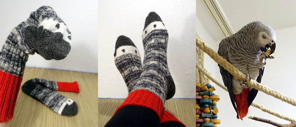 Socken und "Vorlage"