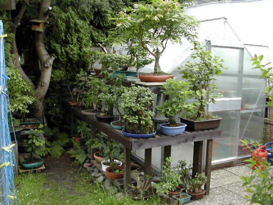 garten 0021.jpg