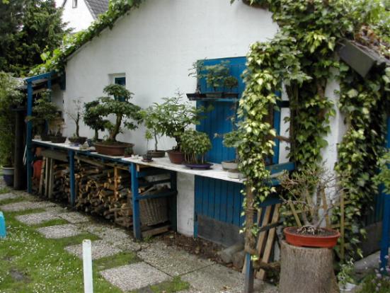 garten 0011.jpg