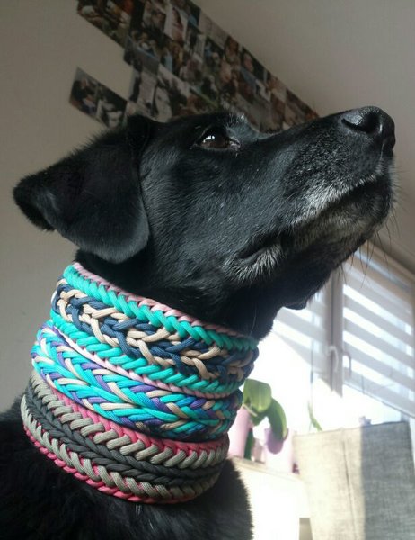 20170128_144810.jpg