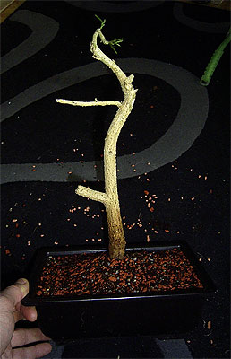 h04_19.02.06_190.jpg