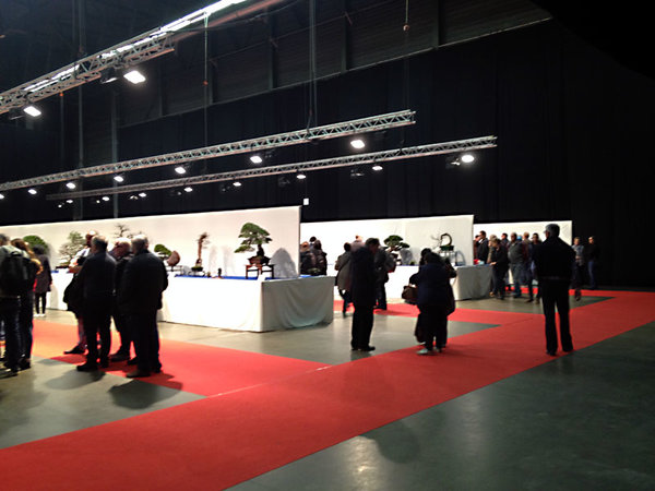 Weitläufige Ausstellungsfläche