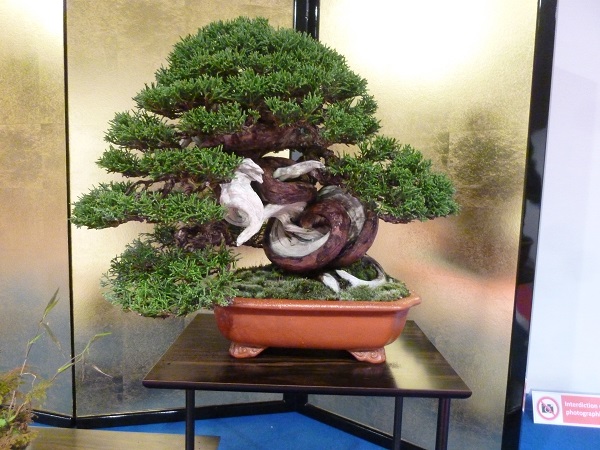 P1100007.JPG