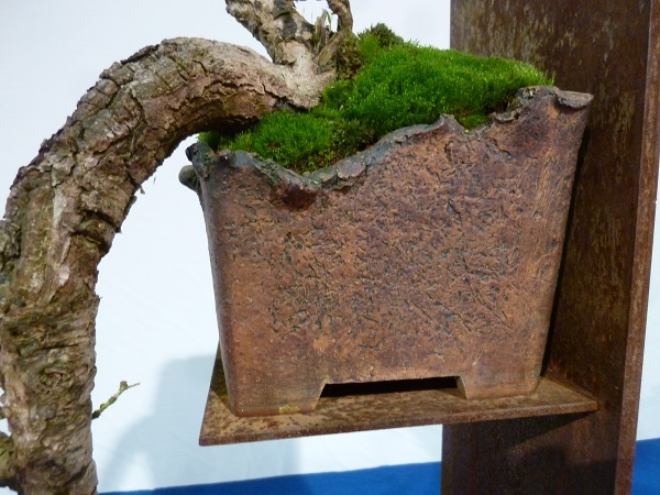 P1100035.JPG
