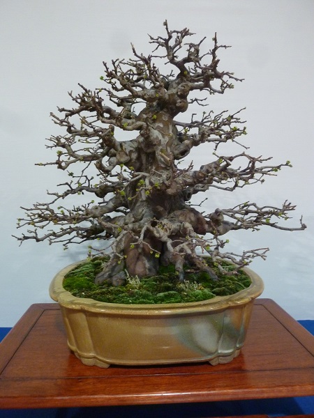 P1100044.JPG