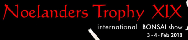 Noelanders Trophy XIX.PNG