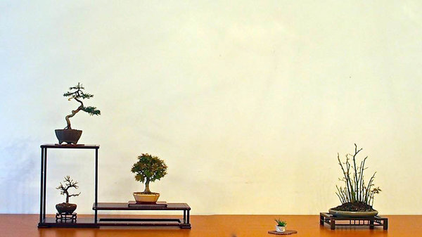 Shohin-Display-Übung beim Workshop mit Morten Albek