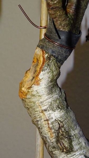 Schnittstelle von der Seite