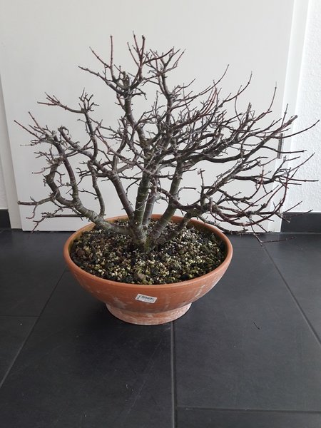 20170214_115641neu.jpg