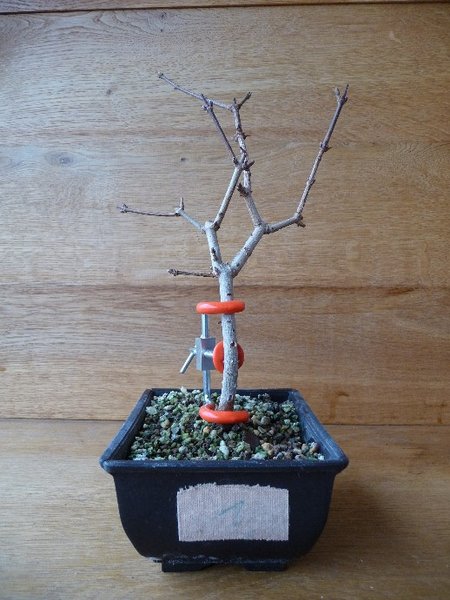 Februar 2017