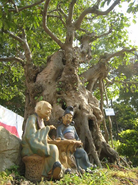 kleinVietnam_005.jpg