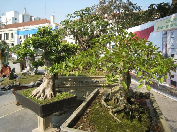 kleinVietnam_010.jpg