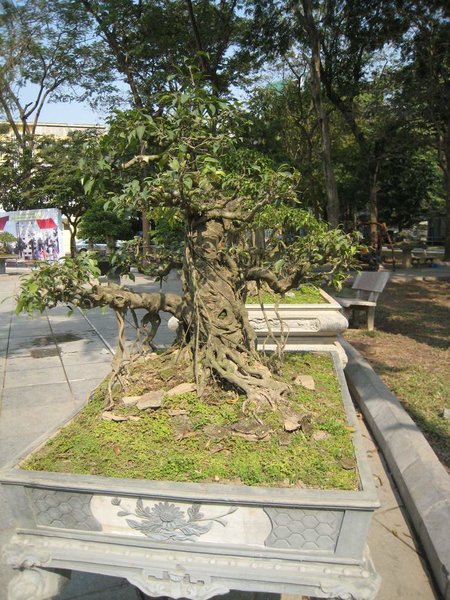 kleinVietnam_013.jpg