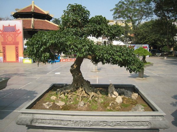 kleinVietnam_014.jpg