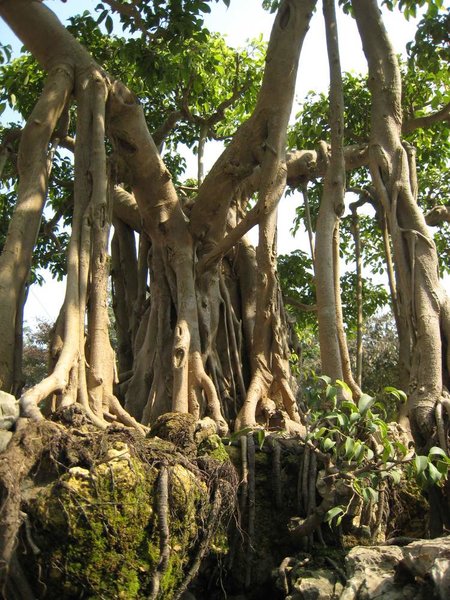 kleinVietnam_018.jpg