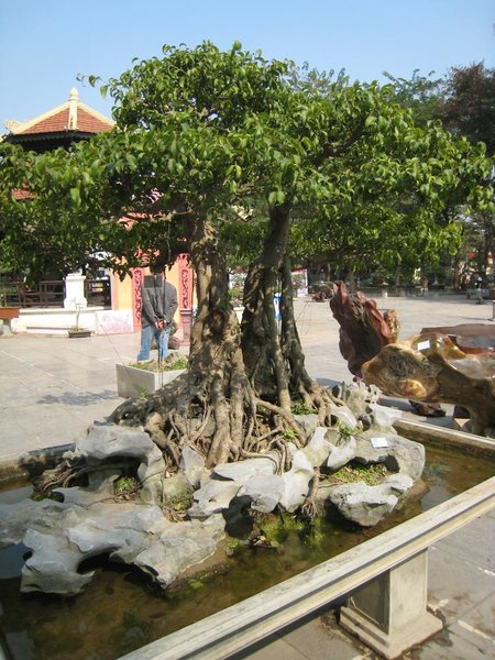 kleinVietnam_019.jpg