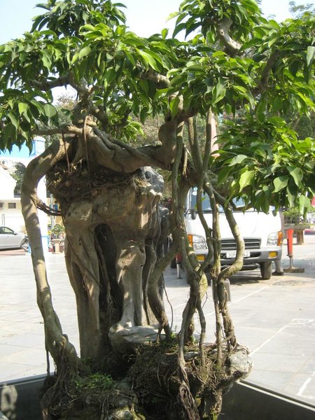 kleinVietnam_022.jpg