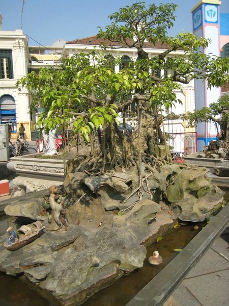 kleinVietnam_026.jpg