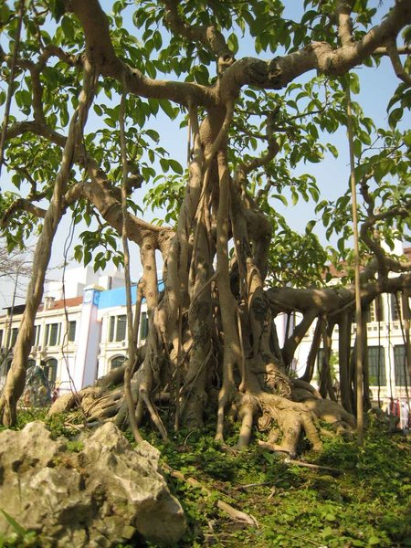 kleinVietnam_030.jpg