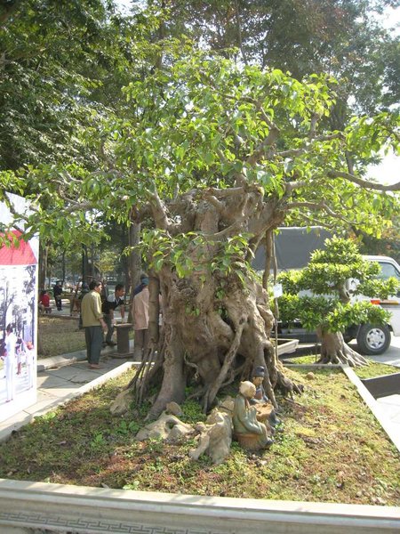 kleinVietnam_031.jpg