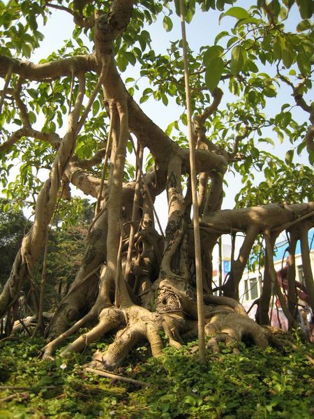 kleinVietnam_032.jpg