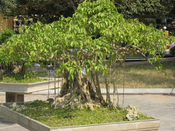 kleinVietnam_034.jpg