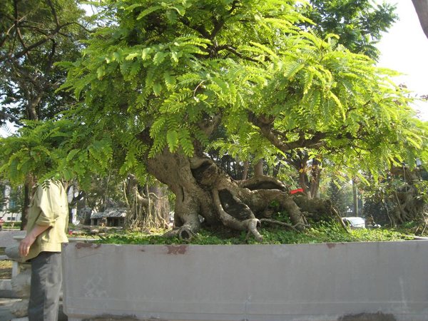 kleinVietnam_037.jpg