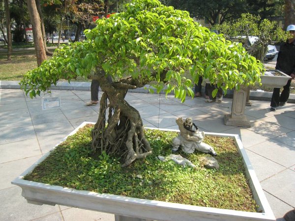 kleinVietnam_038.jpg