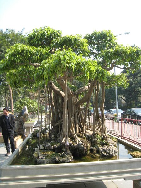 kleinVietnam_039.jpg