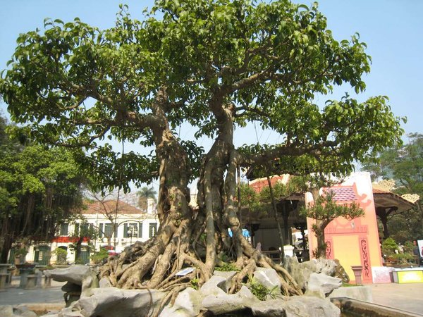 kleinVietnam_040.jpg