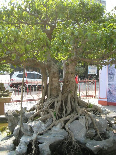 kleinVietnam_041.jpg