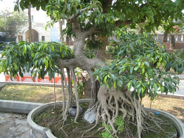 kleinVietnam_042.jpg